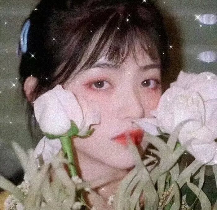 小白的男神爹地第二季
